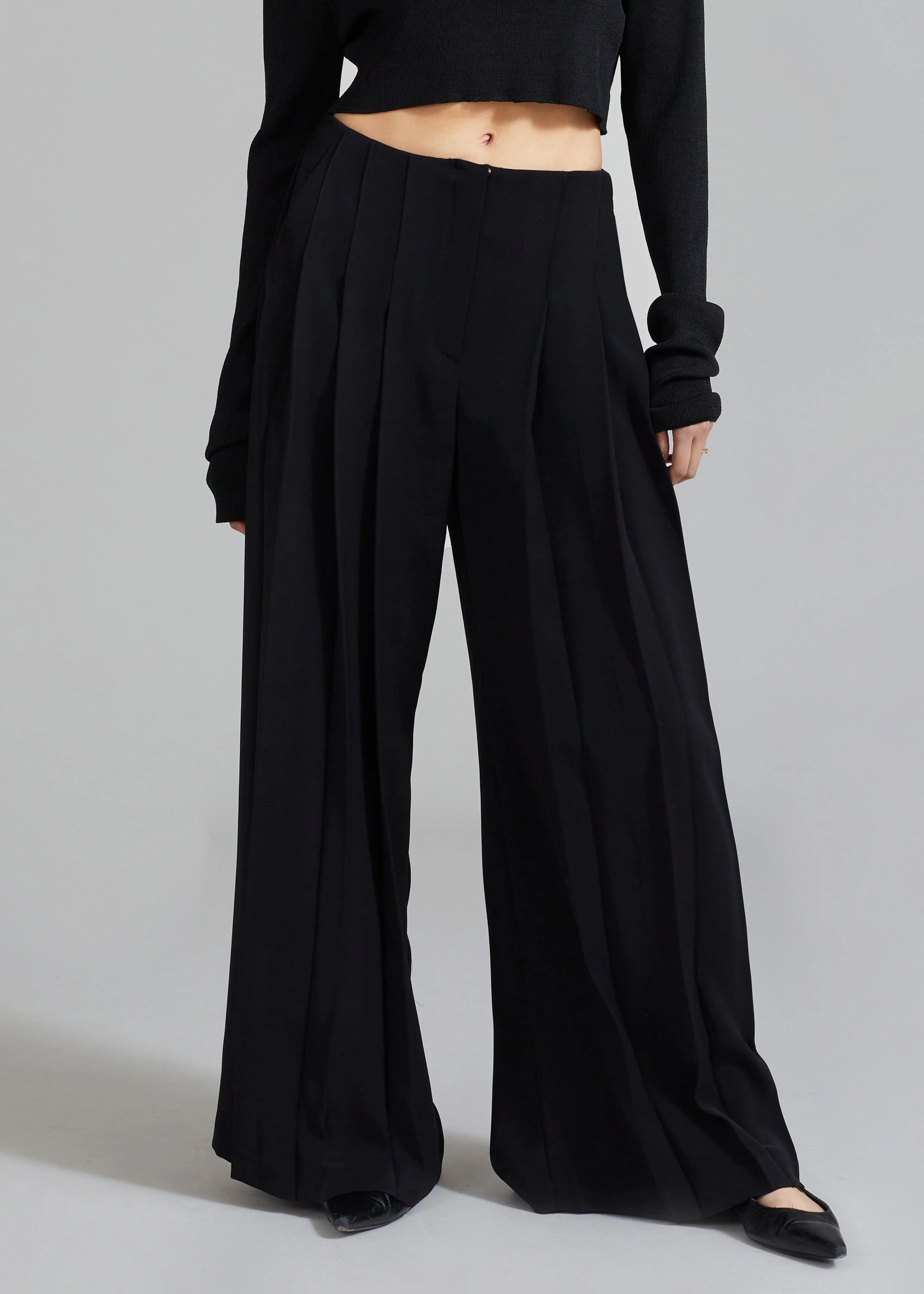 Dillon Pleated Pants - Black - Image 7